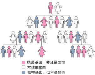 狐臭遗传